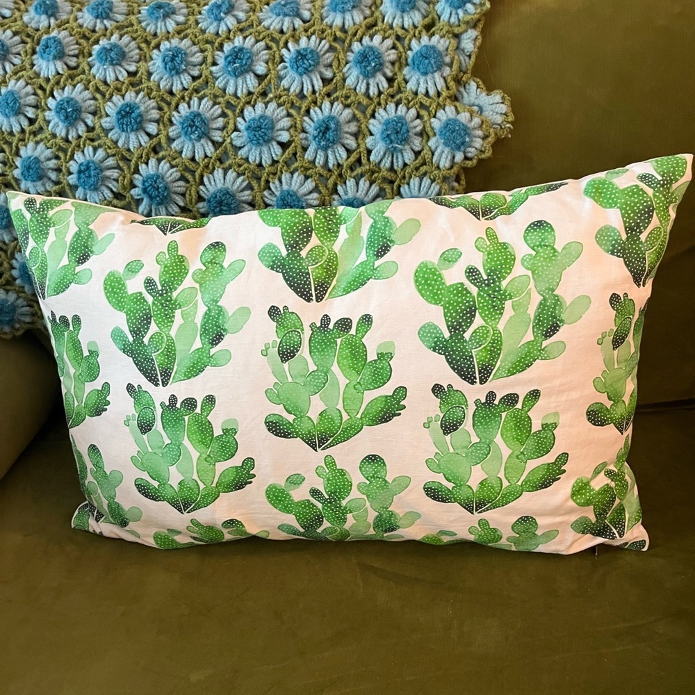 Cactus pillow